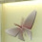 Chrysalis Dental Practice and Implant Centre