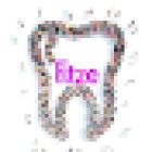 Fitze Dental Clinics