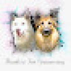 Flawless Fur dog grooming