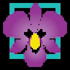 Peninsula Dental Care