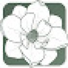 Magnolia Modern Dentistry