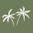 Bay Park Dental Group