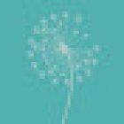 Clínica Dental Ainda