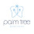 Palm Tree Dentistry - New Port Richey