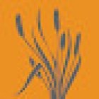 Dental Care at Prairie Crossing