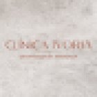 Clínica IVORIA | Clínica Dental en Cuzco (Castillejos)