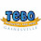 Tebo Dentistry For Kids Gainesville