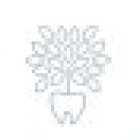 Thrive Dental and Orthodontics