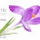 Clínica Dental Gustavo García del Río