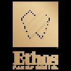 Ethos Family Dental - Dentist New Lenox