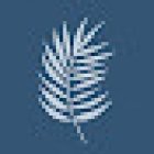 Village Grove Dental Care