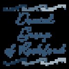 Dental Group of Rockford