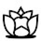 Longmont Dental Care