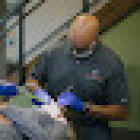 Compton Orthodontics Bowling Green