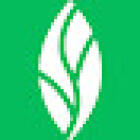 MINT dentistry | McKinney