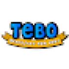 Tebo Dentistry For Kids Peachtree Corners
