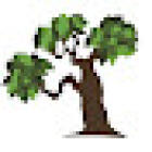Caring Tree Children's Dentistry