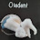 Clinica Dental OTEDENT