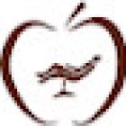 Clínica Dental Servet San José | Dentistas Zaragoza