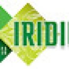 Iridium Clinics Madrid