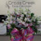 Cross Creek Family Dentistry