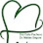 Clínica Dental Dra Celia Pacheco Mozas