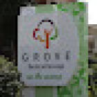 Grove Dental Group