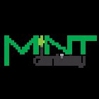 MINT dentistry