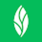 MINT dentistry | Carrollton