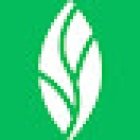 MINT dentistry | Highland Hotel