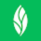 MINT dentistry | Sugar Land