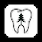 Christopher B. Wong, DDS