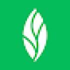 MINT dentistry | Smyrna, GA