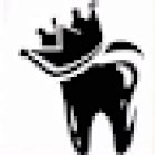 King of Pearls NCCDI