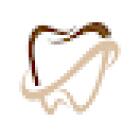 Somerville General Dentist
