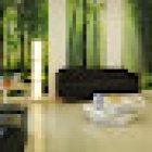 Clínica Dental Vidal Castellano-Dentista las palmas