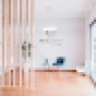 Realdent Dr. Carballo