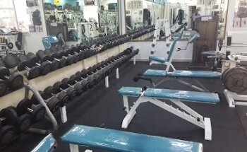 Muscle & Fitness Gym