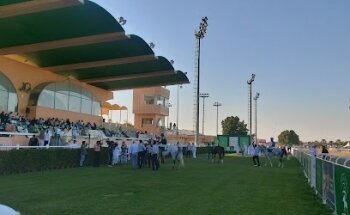 مضمار العين للفروسية