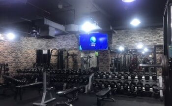 Lion Gym