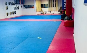 Okinawan Martial Arts Academy Ajman UAE
