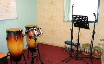 World Of Music & Dance Institute LLC