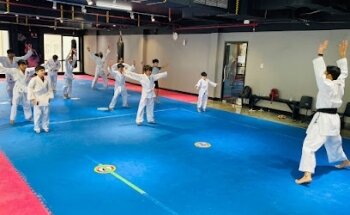 Karate Kid Martial Arts