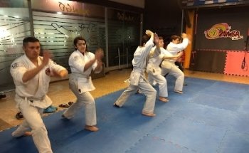 Escuela Takeshi Dojo Aikido Shioda