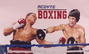 Acoyte Boxing