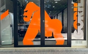 GORILA BOX - crossfit