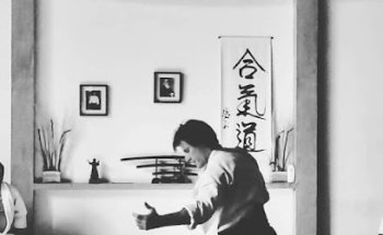 De Vulcanis Aikido Dojo