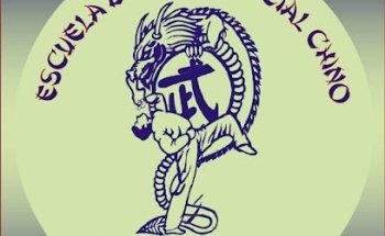 ESCUELA DE ARTE MARCIAL CHINO , ZUI - LONG ( PROFE : DIEGO )