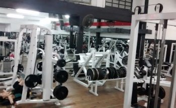 Norma I R de Vialaret