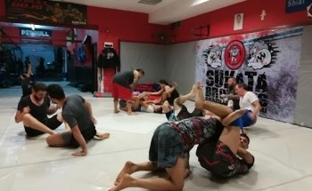 Pitbull Dojo